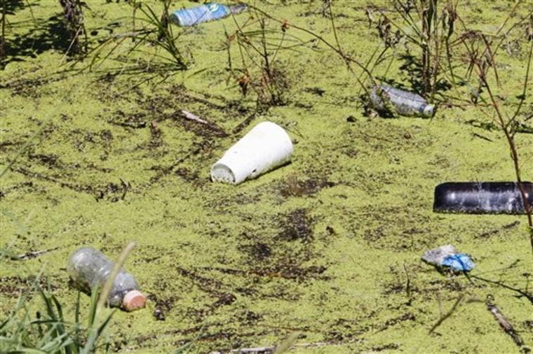 Algae and trash float in a flooded field near Pacific Junction, Iowa, on Aug. 10. 